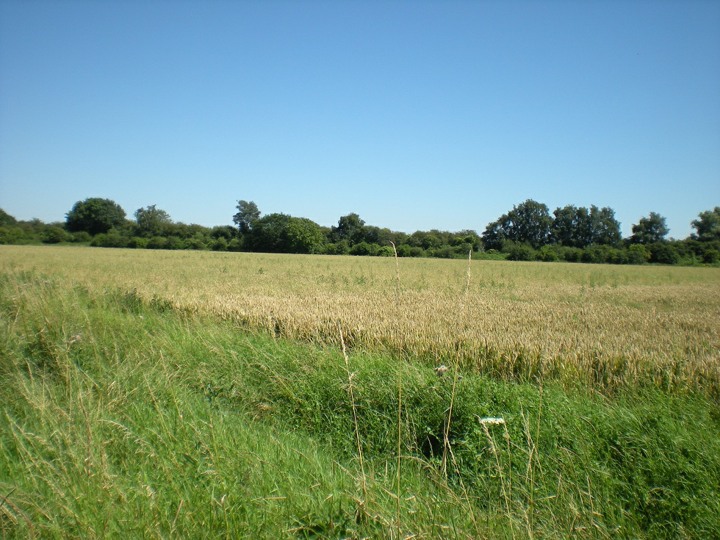 farmland owned by The DSJUC